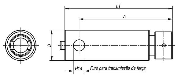 Eixo de adaptação